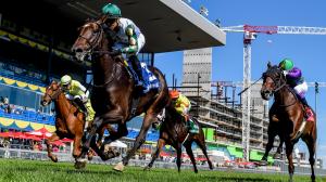 Canadian Stakes, Woodbine, horse racing, America's Best Racing, ABR